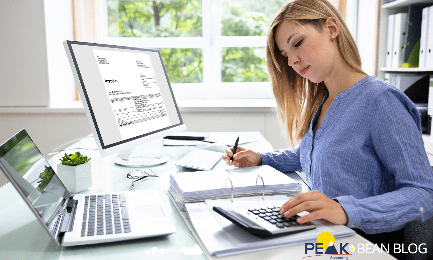 1099 IRS Form Peak Accounting Service